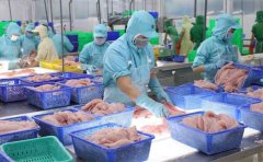 越南前四個(gè)月水產(chǎn)品出口激增近 44%