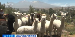 賣爆了！銷售額暴增近20倍！